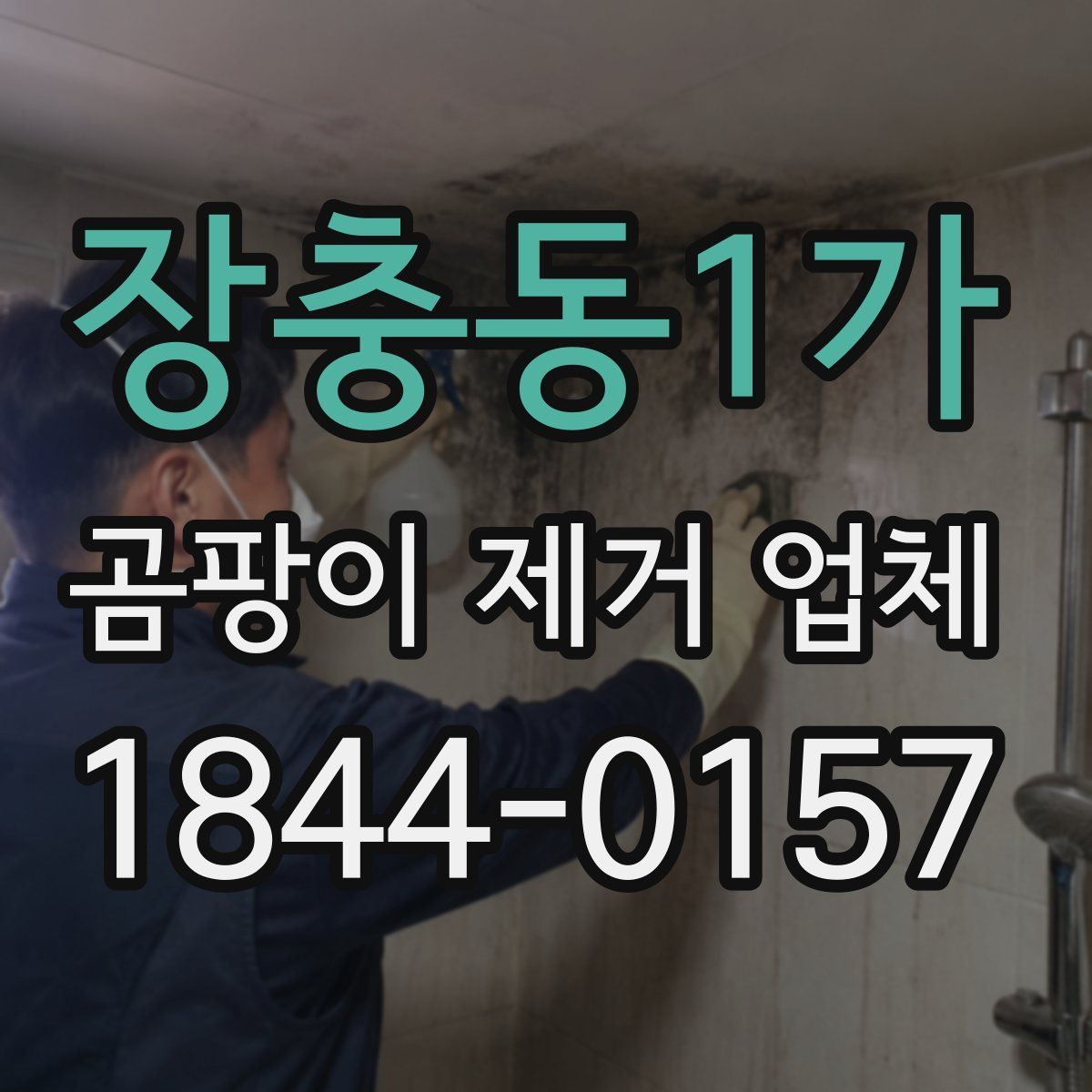장충동1가 곰팡이 제거 업체