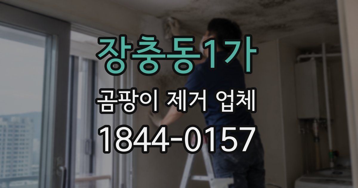 장충동1가 곰팡이 제거 업체