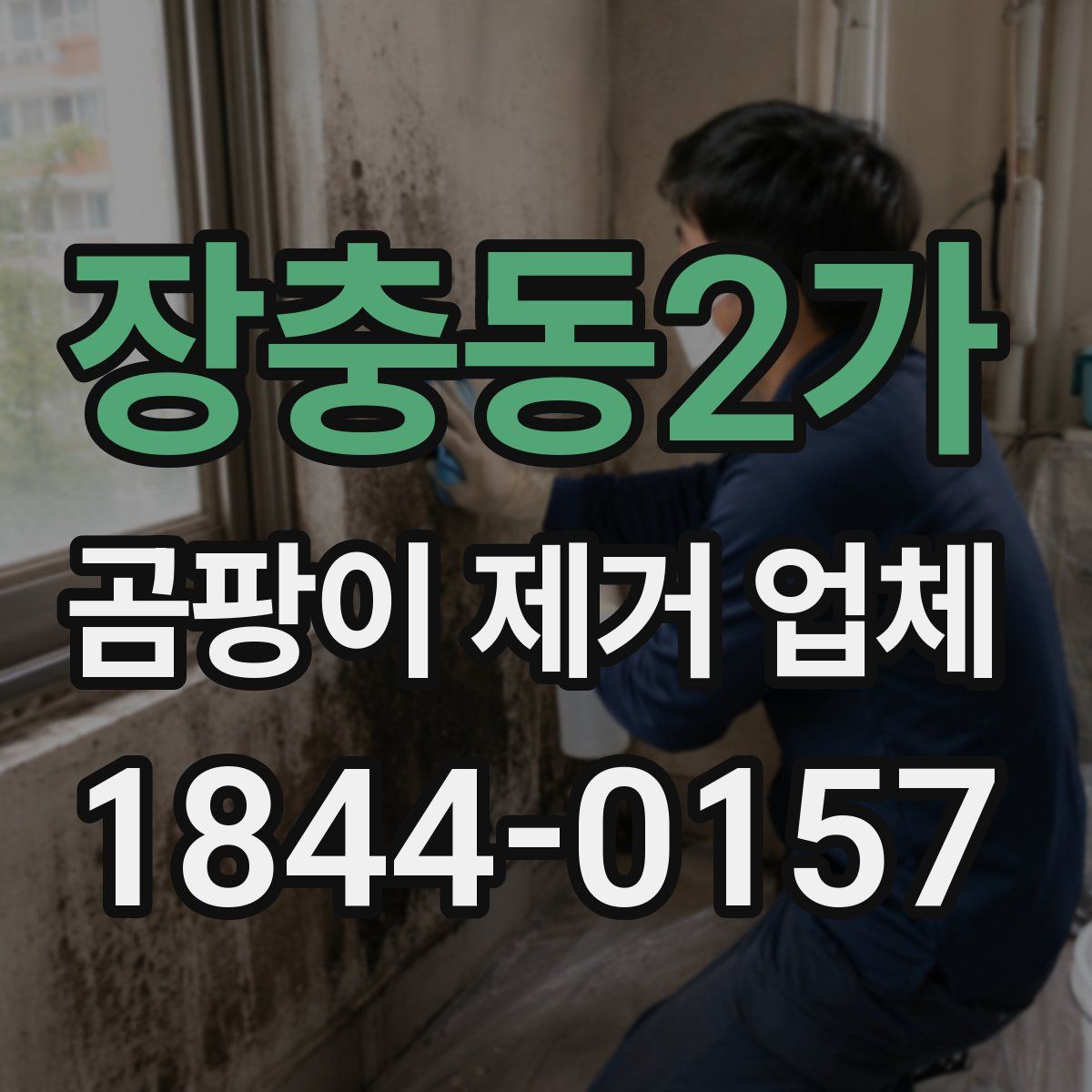 장충동2가 곰팡이 제거 업체
