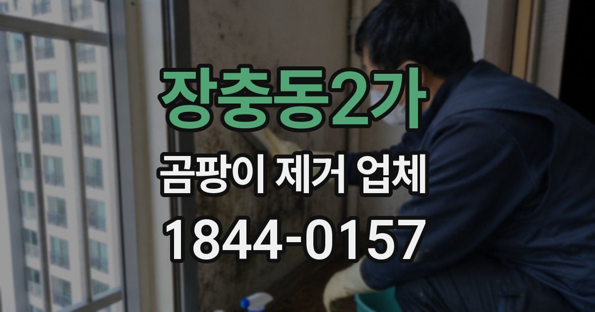 장충동2가 곰팡이 제거 업체