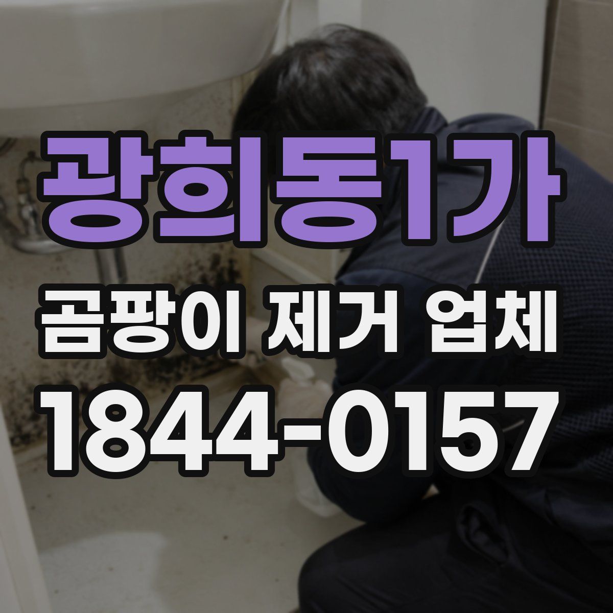 광희동1가 곰팡이 제거 업체