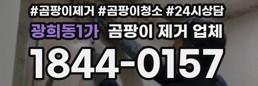 광희동1가 곰팡이 제거 업체