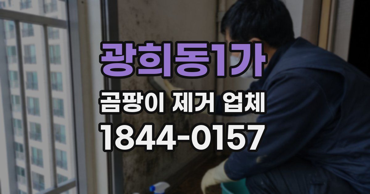 광희동1가 곰팡이 제거 업체
