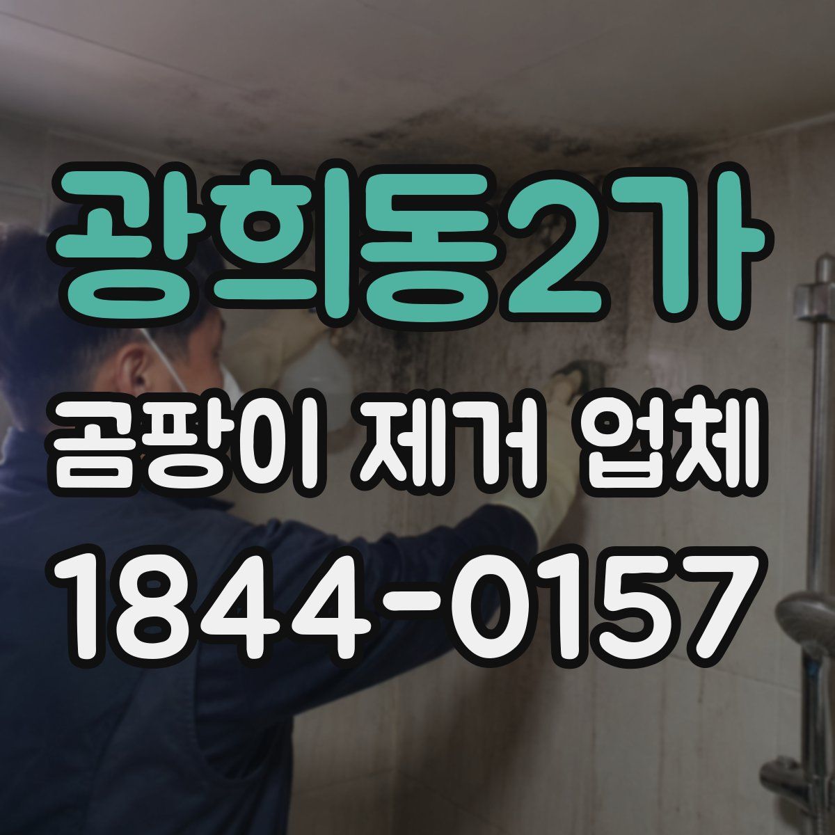 광희동2가 곰팡이 제거 업체