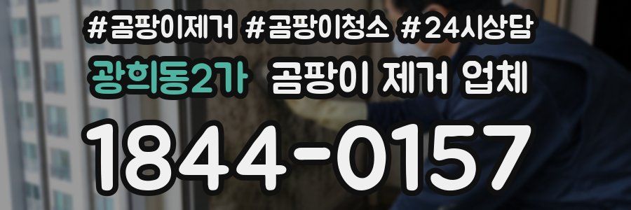 광희동2가 곰팡이 제거 업체