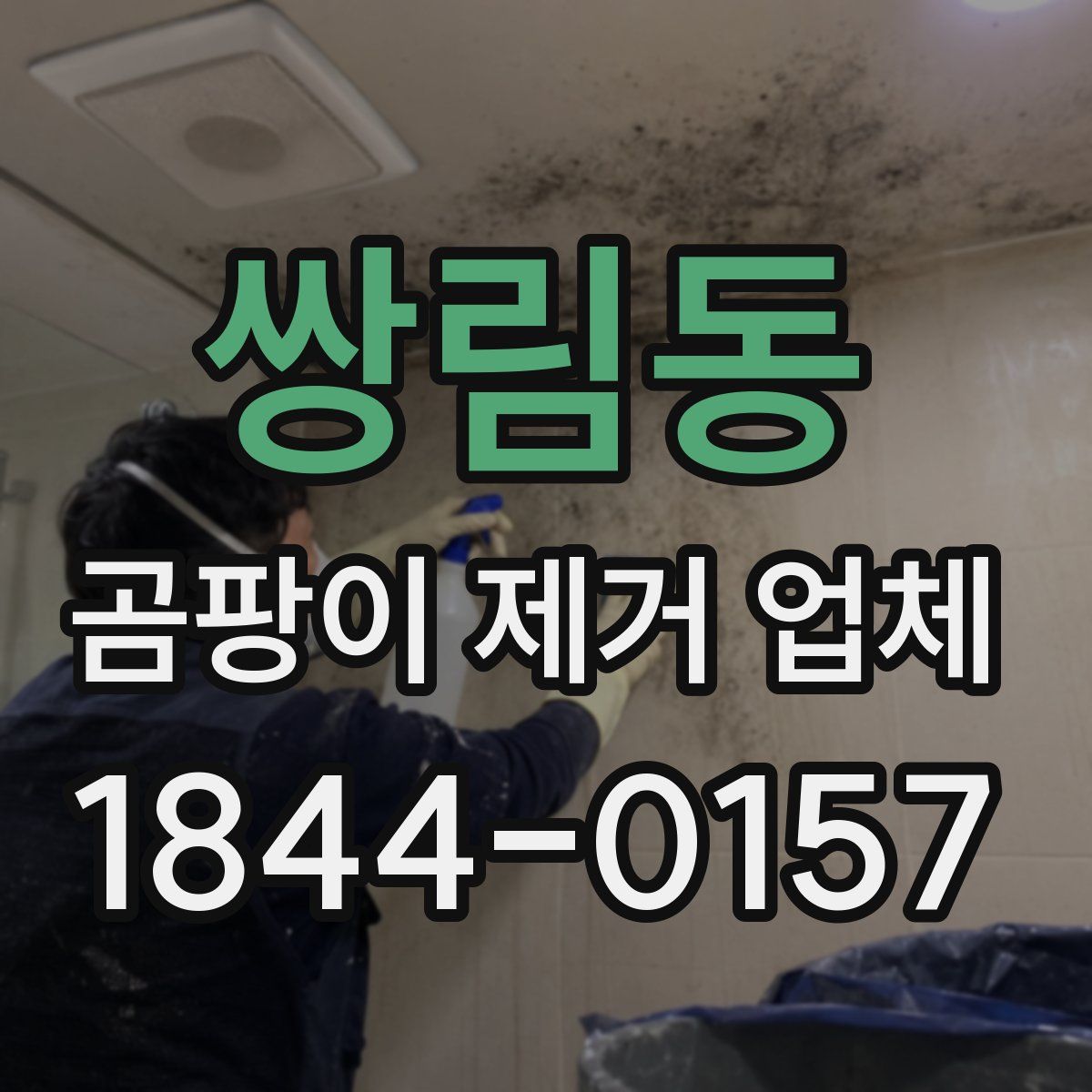 쌍림동 곰팡이 제거 업체