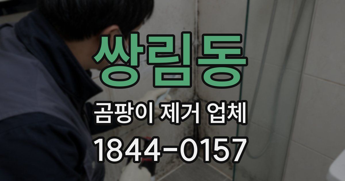 쌍림동 곰팡이 제거 업체