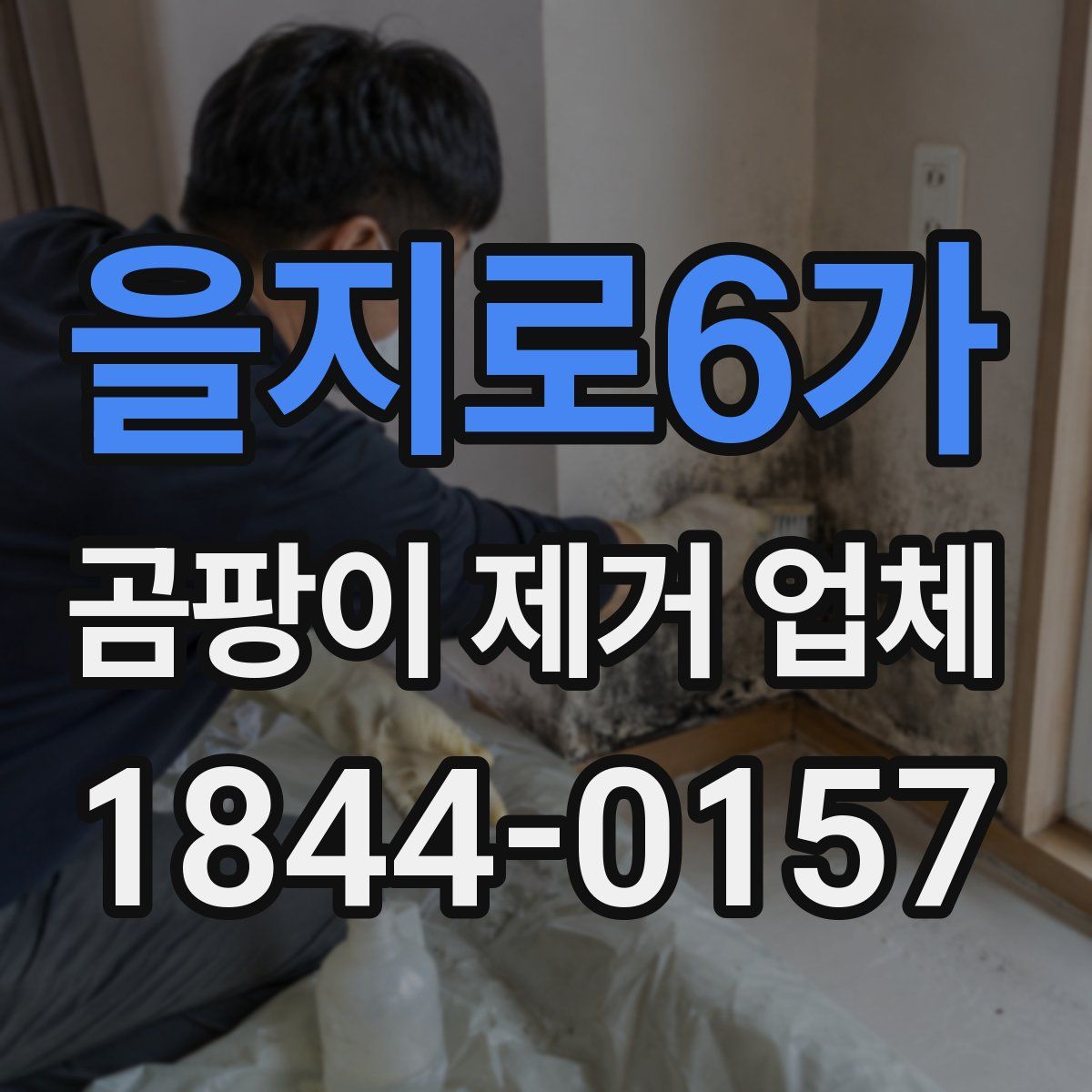 을지로6가 곰팡이 제거 업체
