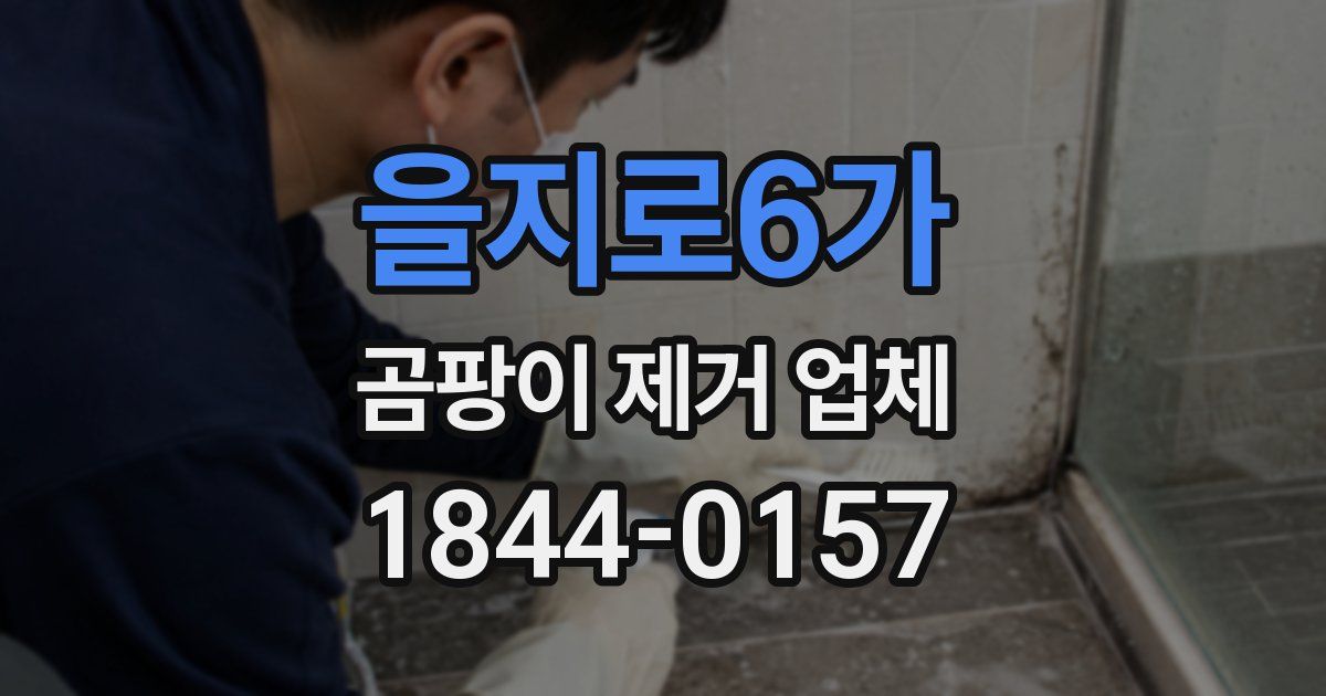 을지로6가 곰팡이 제거 업체