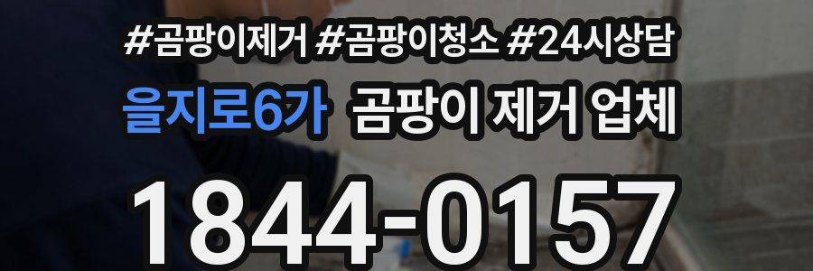 을지로6가 곰팡이 제거 업체