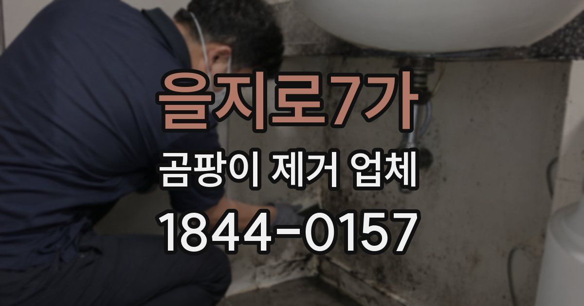 을지로7가 곰팡이 제거 업체