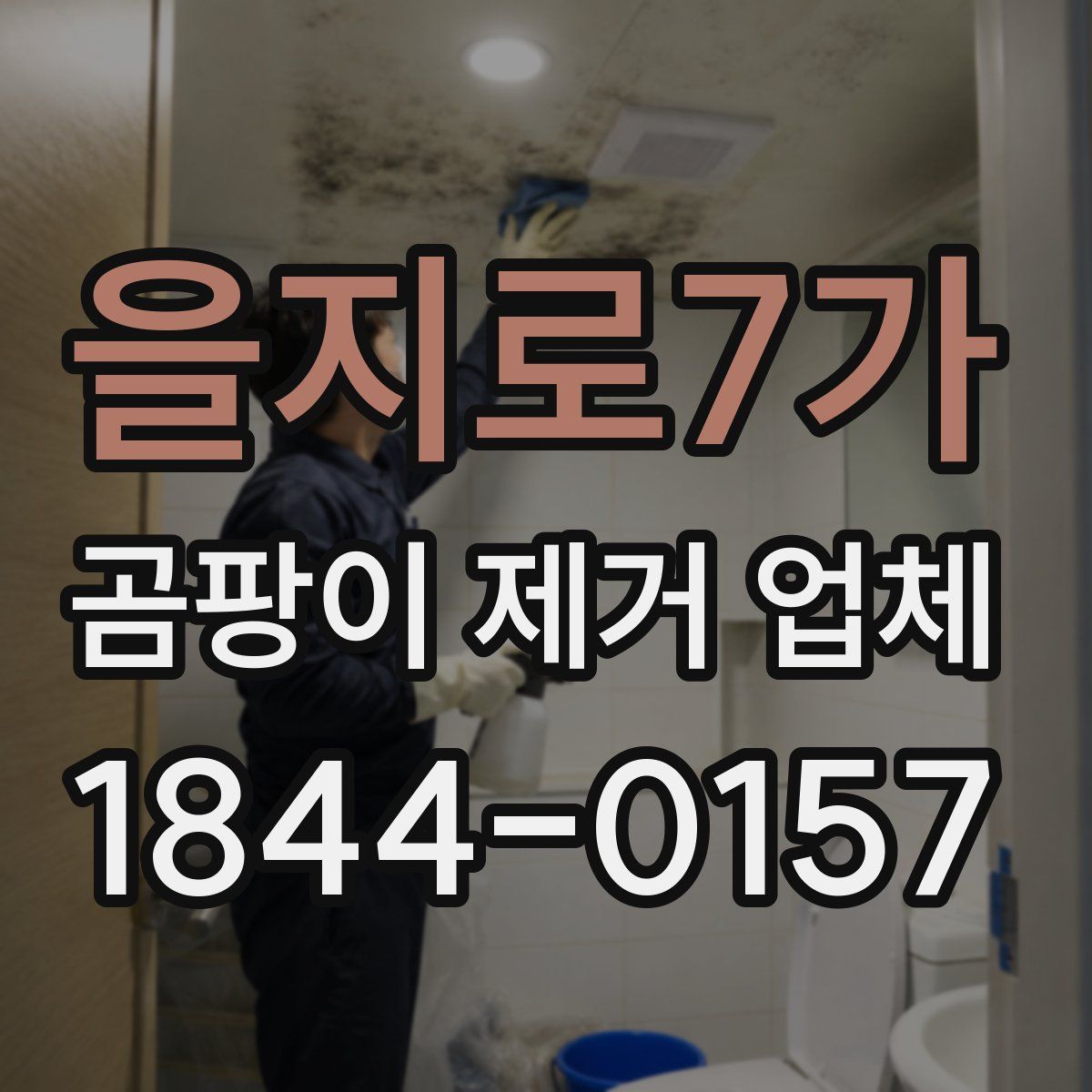 을지로7가 곰팡이 제거 업체