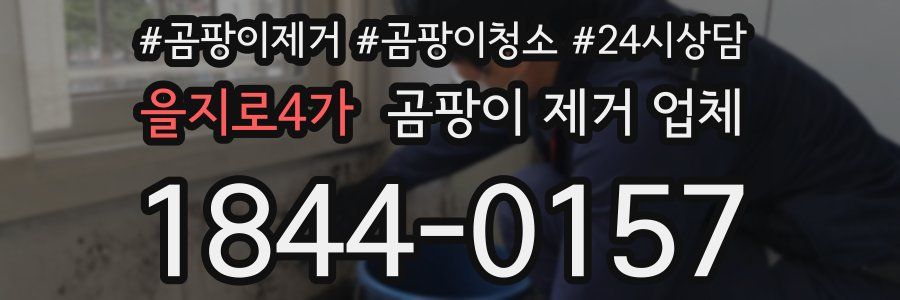을지로4가 곰팡이 제거 업체