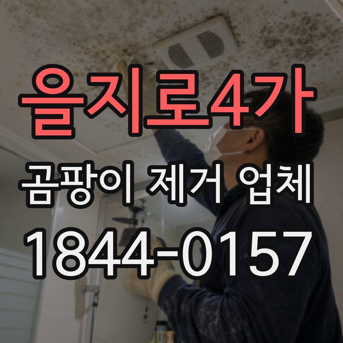 을지로4가 곰팡이 제거 업체