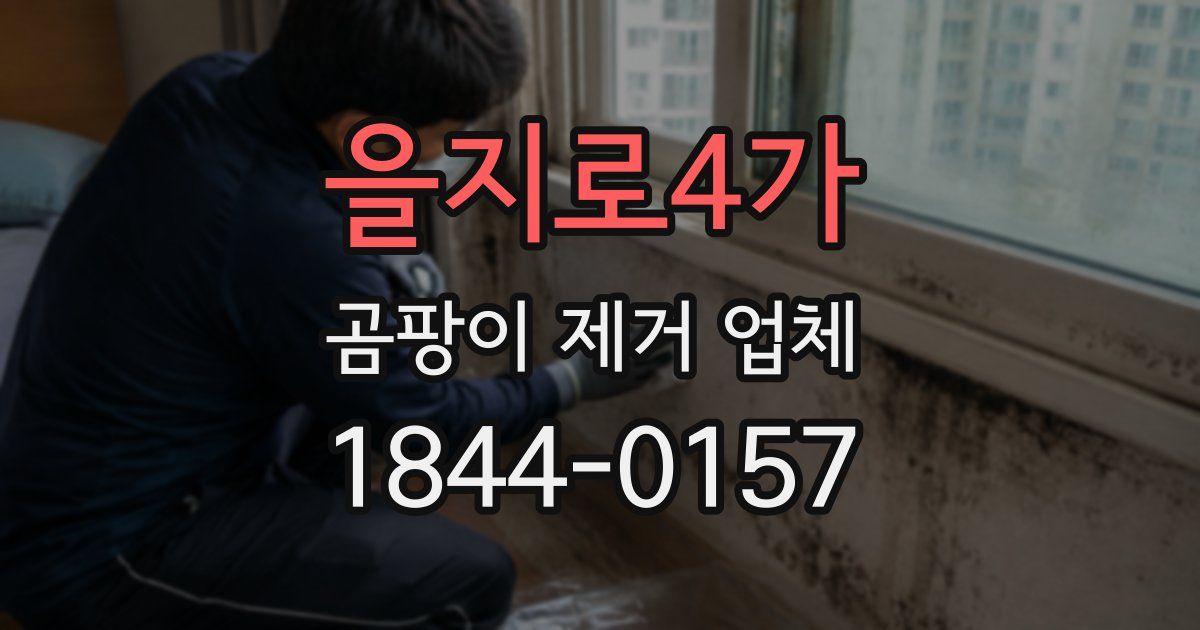 을지로4가 곰팡이 제거 업체