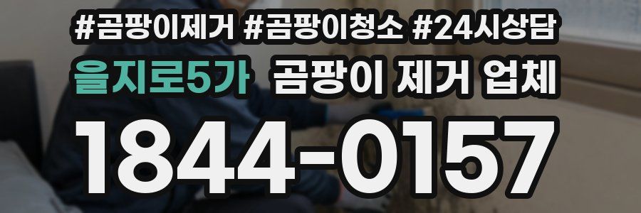 을지로5가 곰팡이 제거 업체