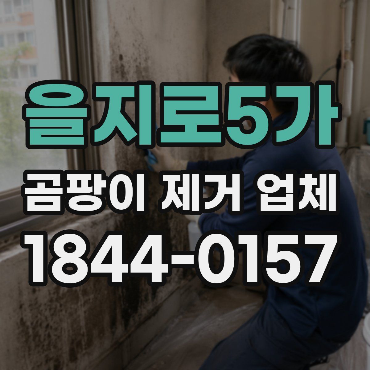 을지로5가 곰팡이 제거 업체