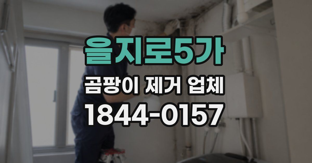 을지로5가 곰팡이 제거 업체