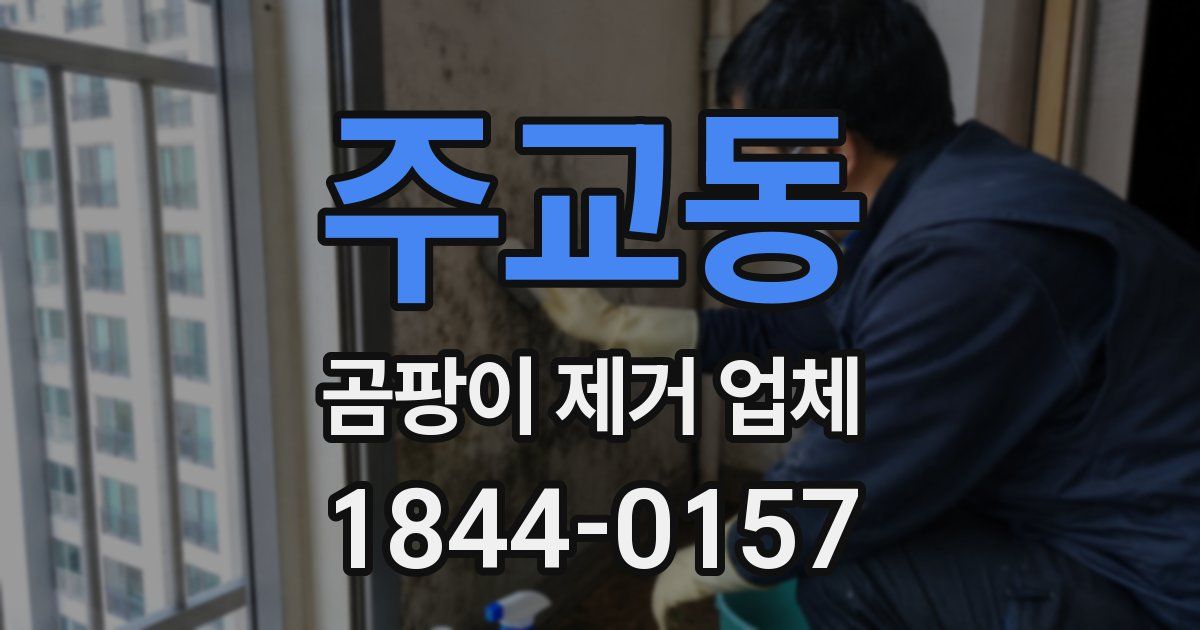 주교동 곰팡이 제거 업체