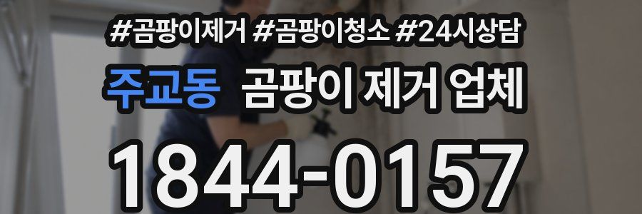 주교동 곰팡이 제거 업체