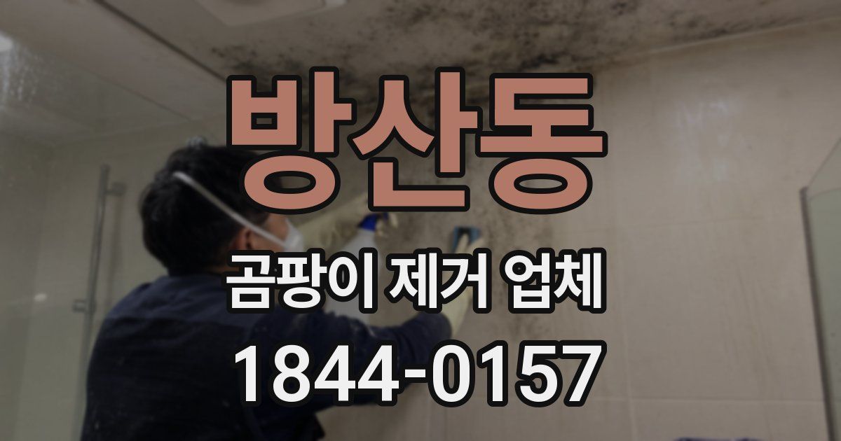 방산동 곰팡이 제거 업체