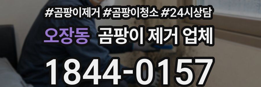 오장동 곰팡이 제거 업체