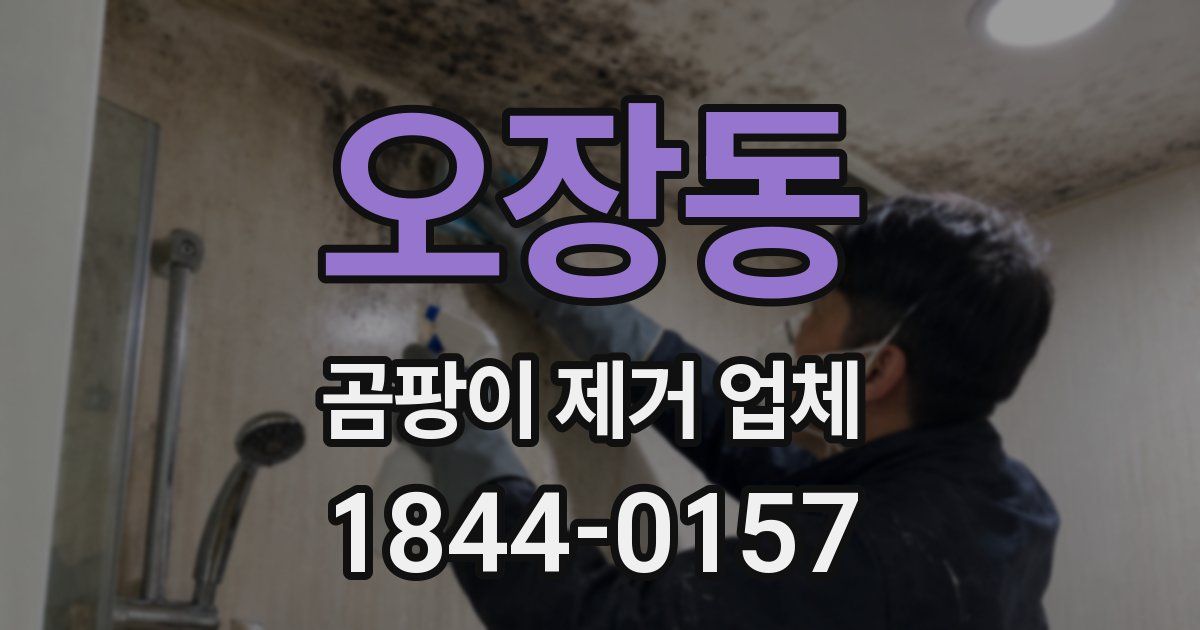 오장동 곰팡이 제거 업체