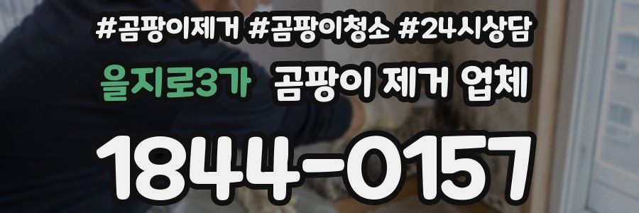 을지로3가 곰팡이 제거 업체