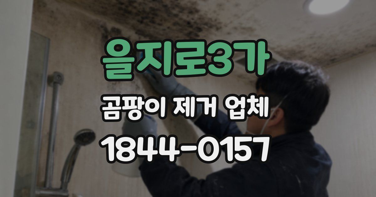 을지로3가 곰팡이 제거 업체