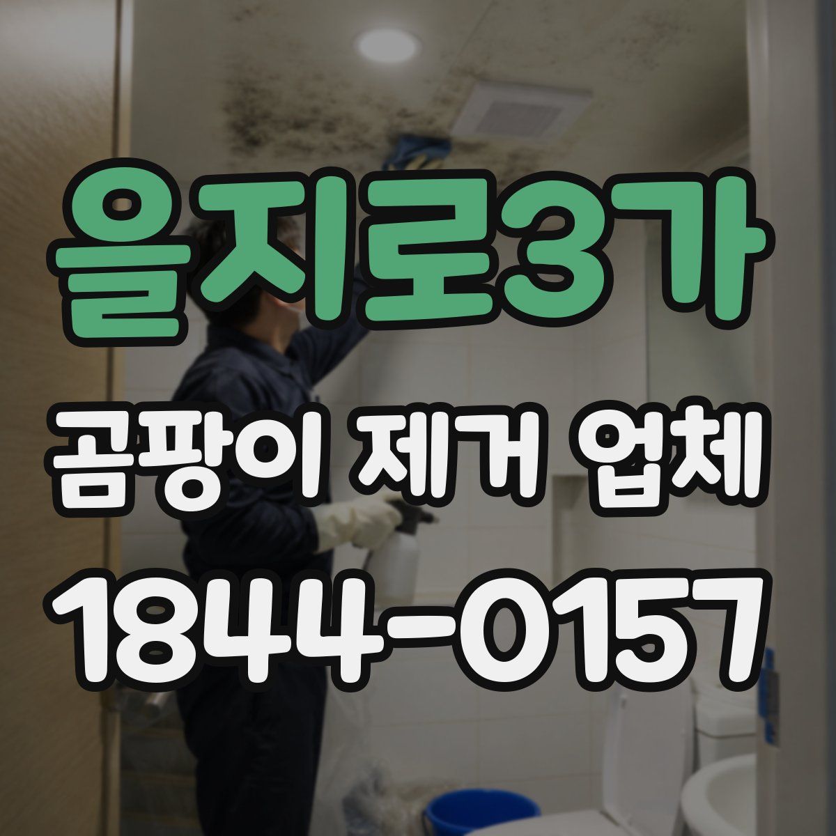 을지로3가 곰팡이 제거 업체