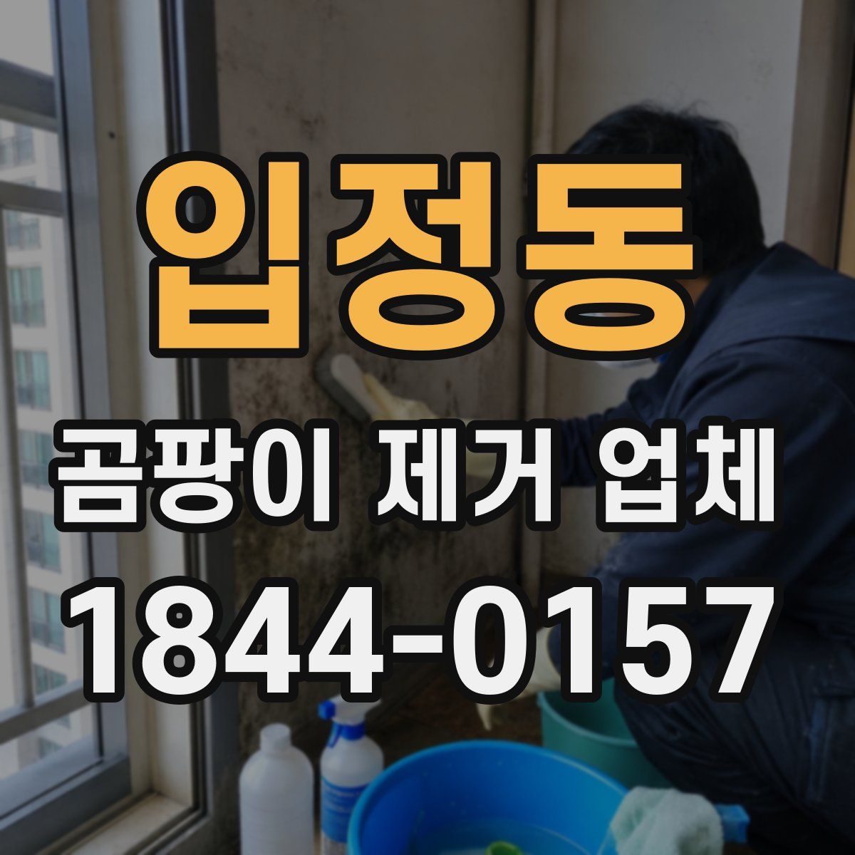 입정동 곰팡이 제거 업체