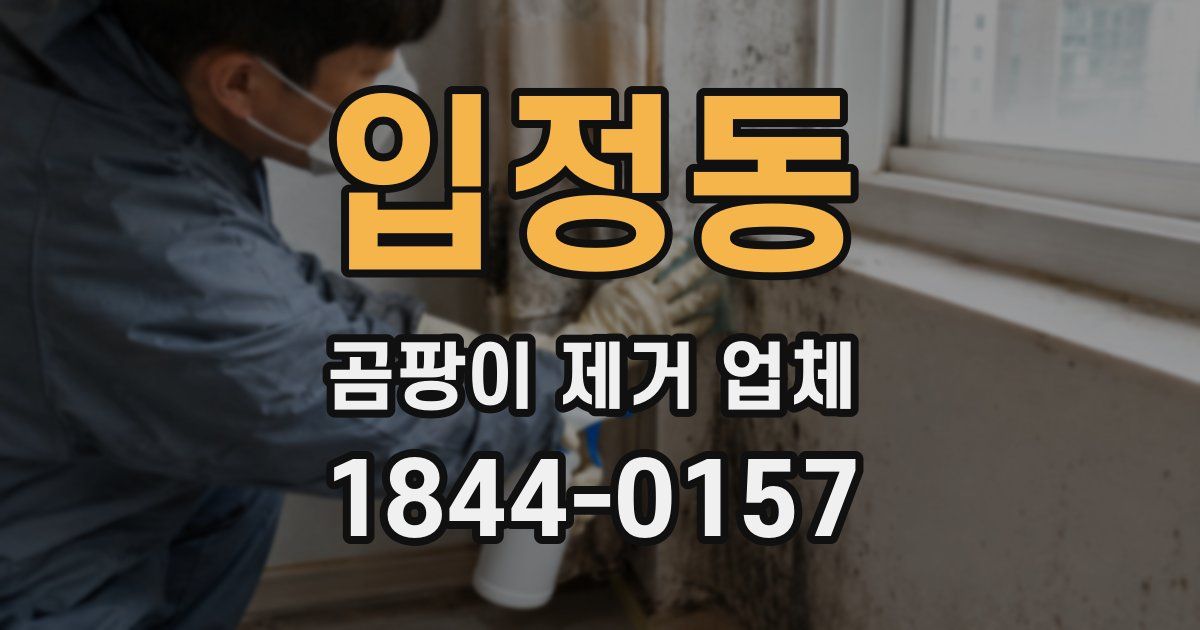입정동 곰팡이 제거 업체