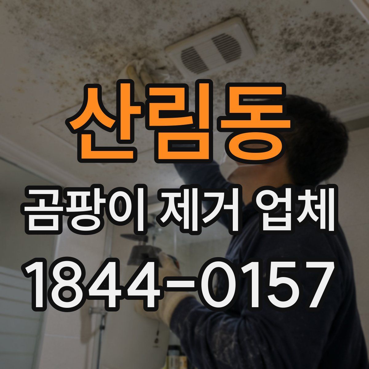 산림동 곰팡이 제거 업체