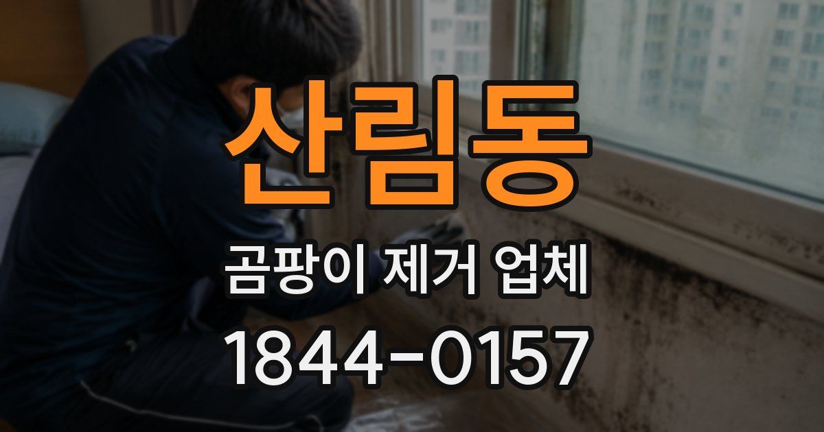 산림동 곰팡이 제거 업체