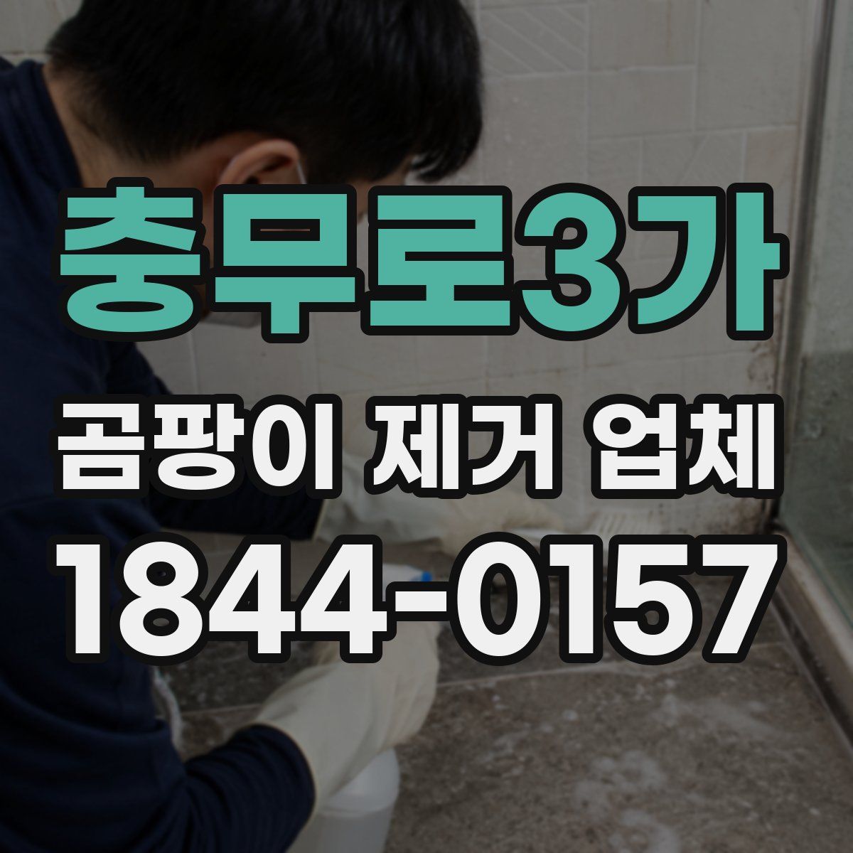 충무로3가 곰팡이 제거 업체