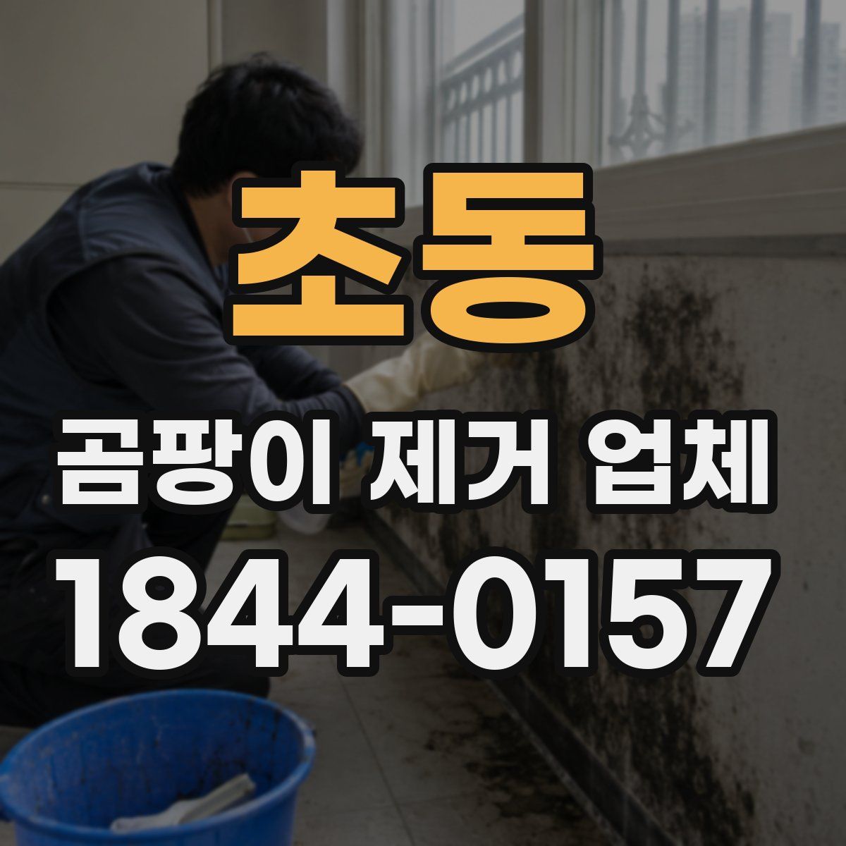 초동 곰팡이 제거 업체