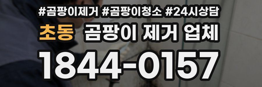초동 곰팡이 제거 업체