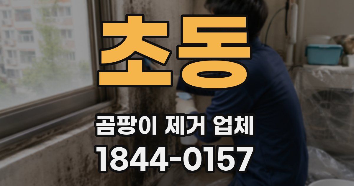 초동 곰팡이 제거 업체