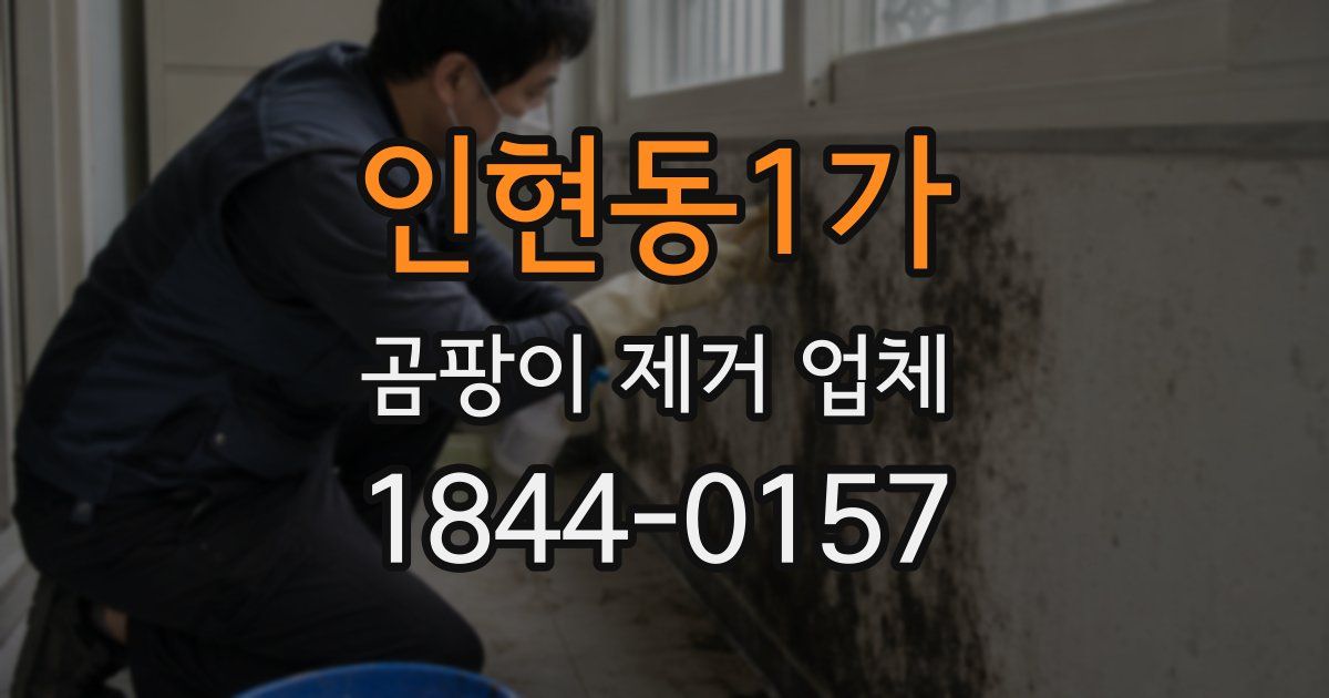 인현동1가 곰팡이 제거 업체