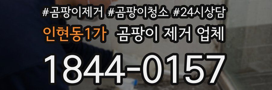 인현동1가 곰팡이 제거 업체