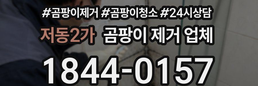 저동2가 곰팡이 제거 업체