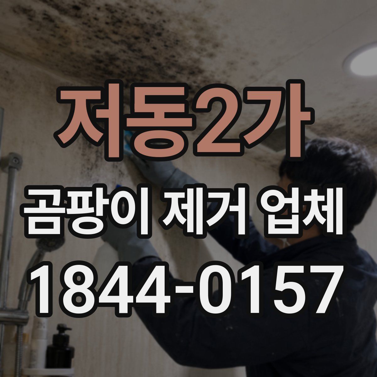 저동2가 곰팡이 제거 업체