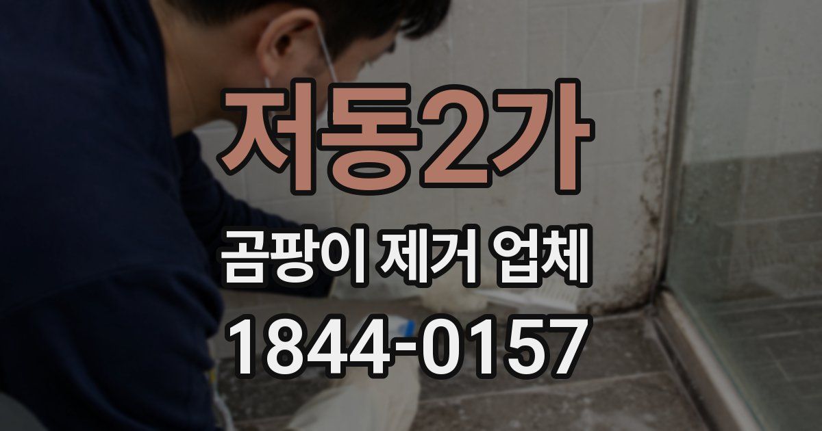 저동2가 곰팡이 제거 업체