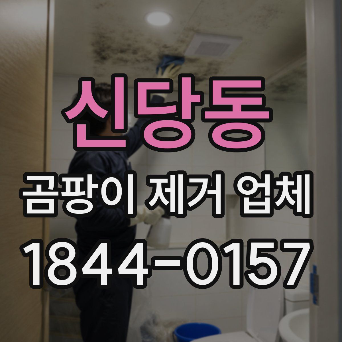 신당동 곰팡이 제거 업체