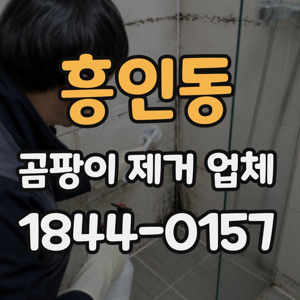 흥인동 곰팡이 제거 업체