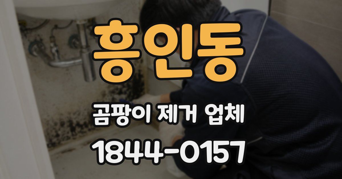 흥인동 곰팡이 제거 업체