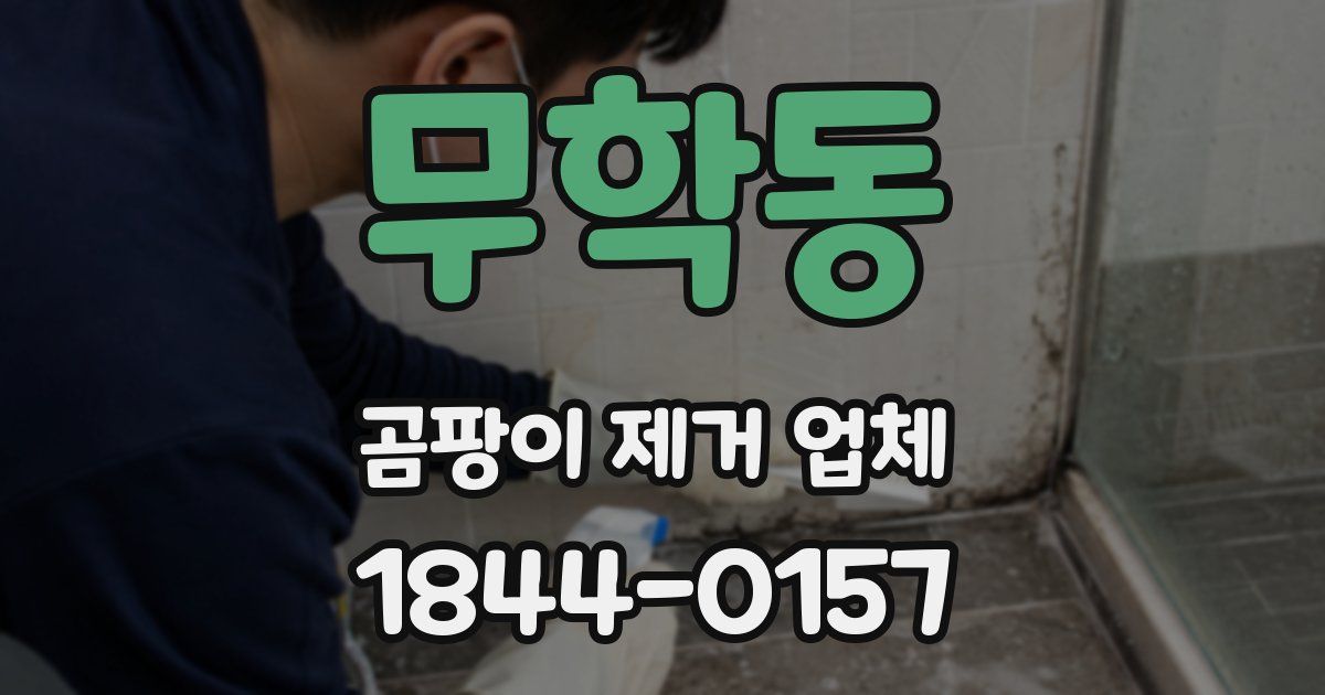 무학동 곰팡이 제거 업체