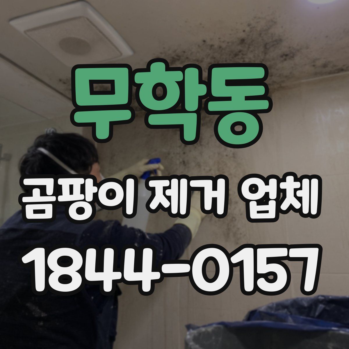 무학동 곰팡이 제거 업체