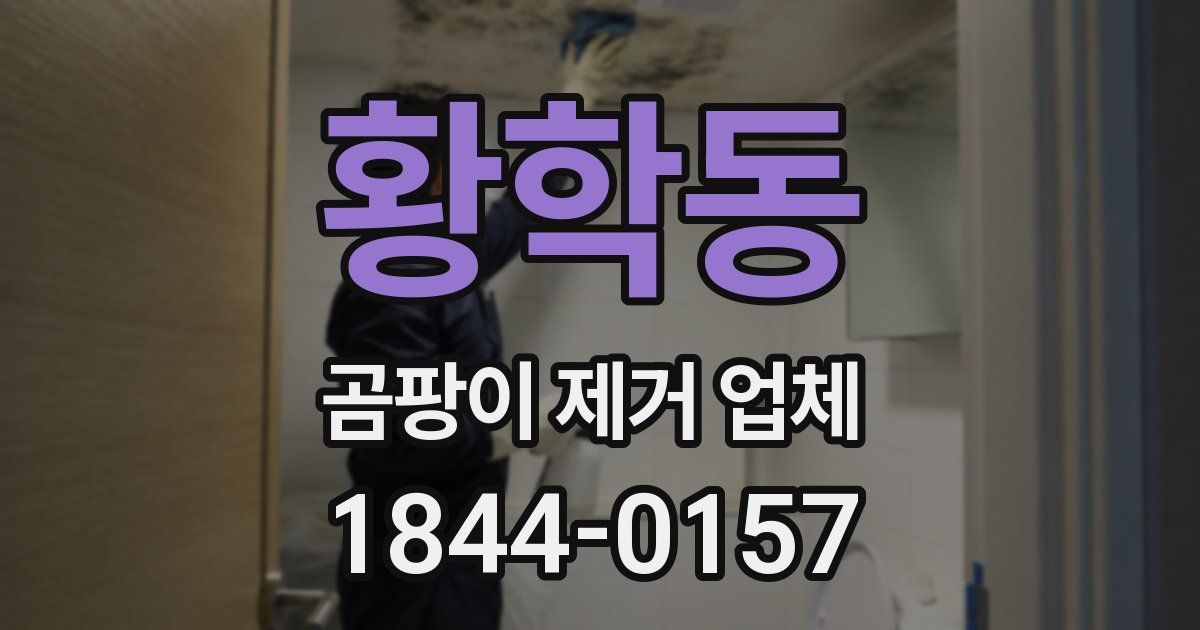 황학동 곰팡이 제거 업체