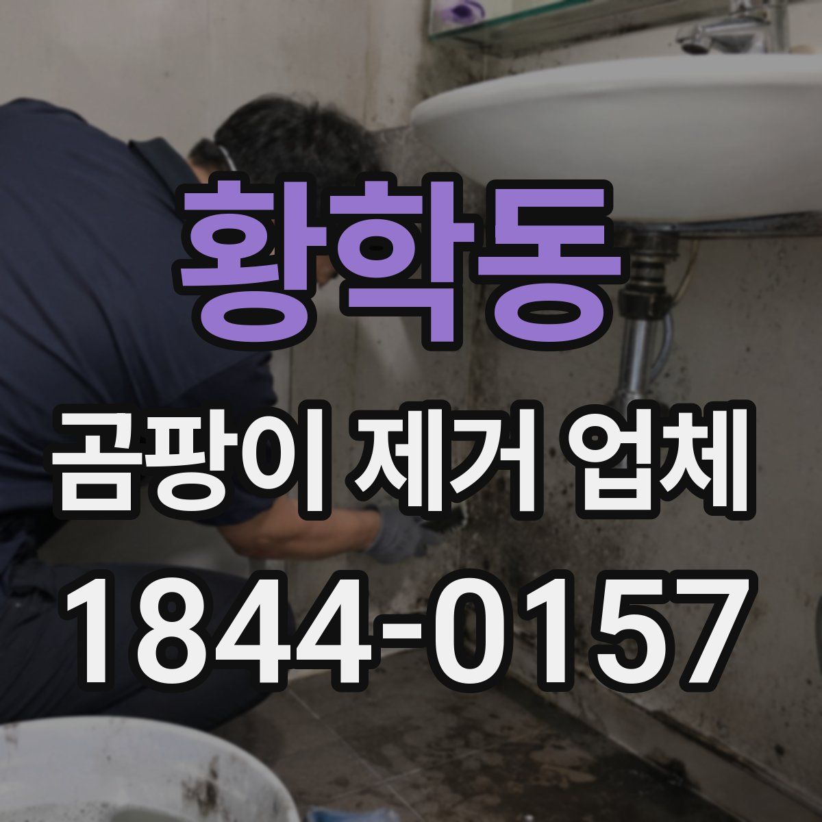 황학동 곰팡이 제거 업체